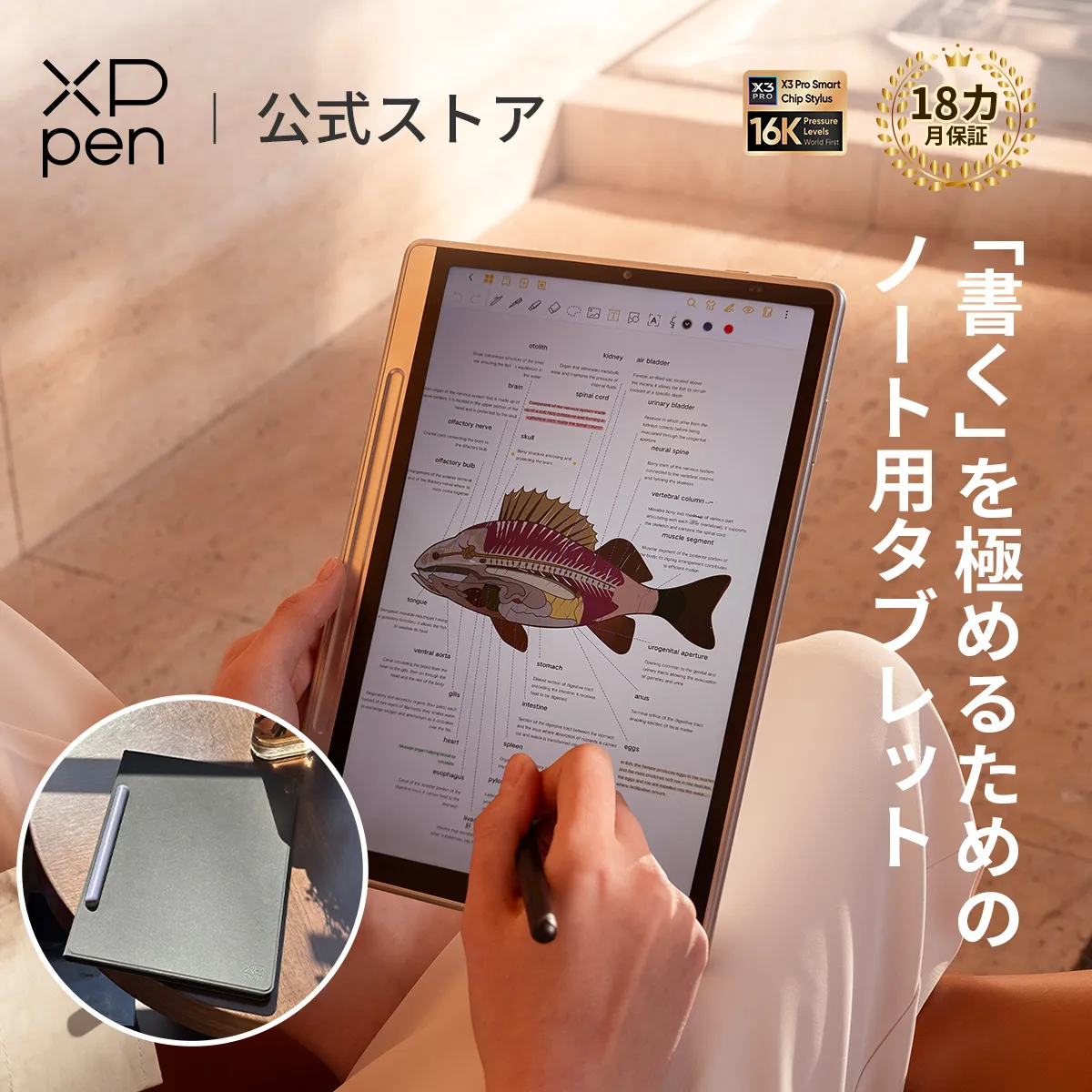 Magic Note Pad 手書きタブレット 公式ストア限定